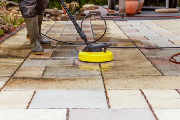Best Pre-Holiday Cleaning  in Eureka, IL